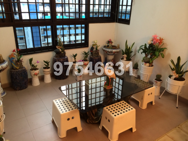 Whampoa Drive thumbnail photo